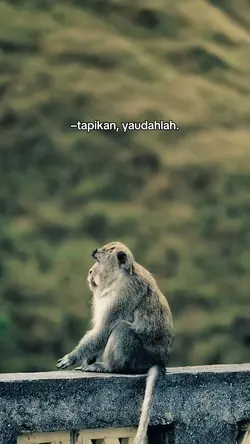 Tapikan, yaudahla