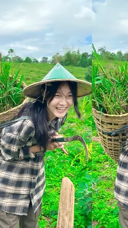 สะบะพ้อโด้แล