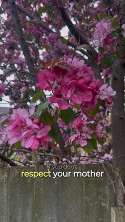 Respect your mother 