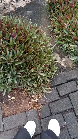 slowmo vlog 