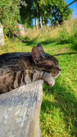 village