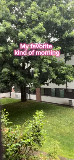 Rainy morning 