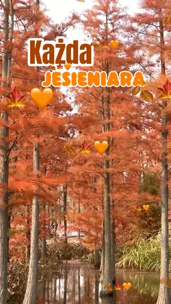 Jesień 🍁🍂🧡