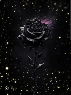 BKACK ROSE
