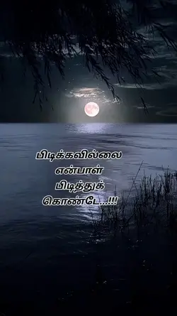 Lovely bgm 