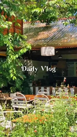 Daily Vlog 