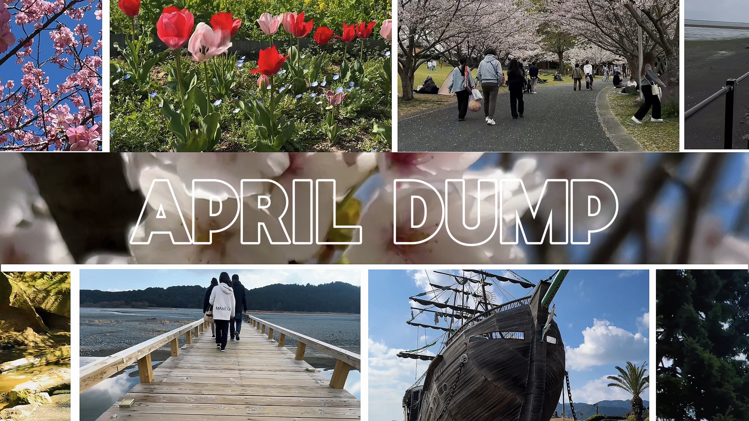 picture overlay slideshowpicture slideshow - Pippit