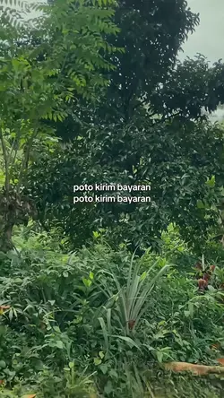 poto kirim bayaran