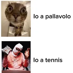 Io a: