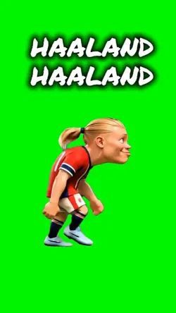 HAALAND HAALAND