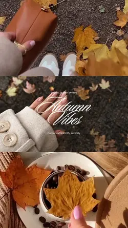 autumn vibes
