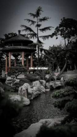 lên xe đi cưng