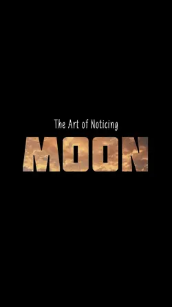 The art of noticing