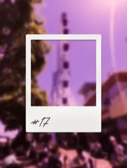 Polaroid