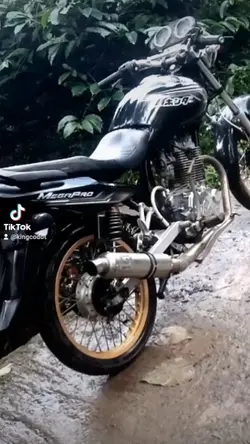 suara mp herex