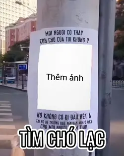 Tìm Chó Thất Lạc