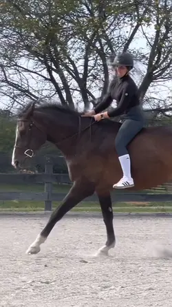 Pretty horse 🤩 | FYP