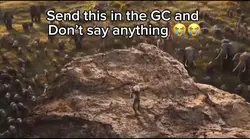 send this in the GC