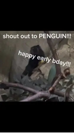 shout out!
