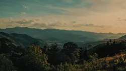 the lazy song