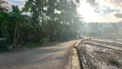 pixel 6