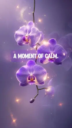 slowmo calm