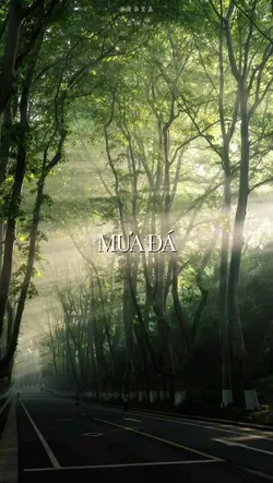 mưa đá