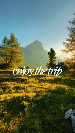 Enjoy the Trip