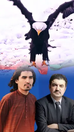 eagle template foryo
