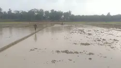Berjuang UNTUK AYAH