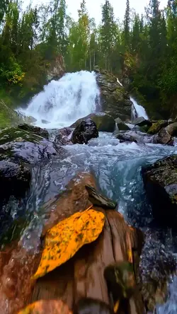 SlowMo Effekts 