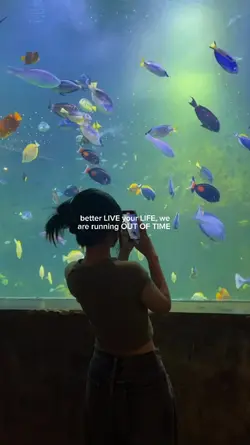 better live ur life 