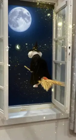 お🌕様に呼ばれて…😆