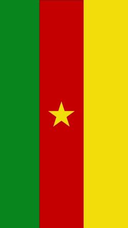 Recut | CAMEROUN 237