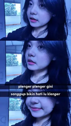 PLENGERR