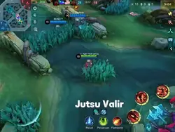 Api Valir