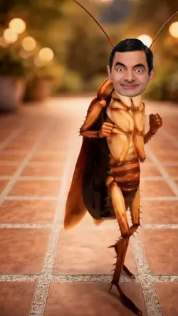 Dancing Cockroach 