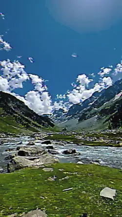 4k trend