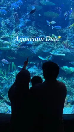 Aquarium date