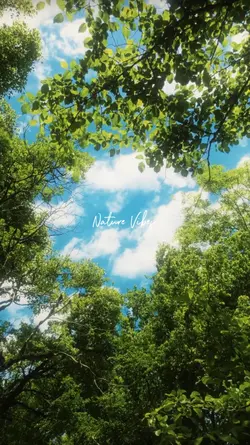 Nature Vibes.