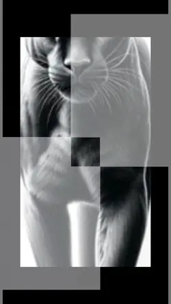 Panther 
