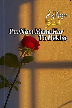 NFAK Trend Template