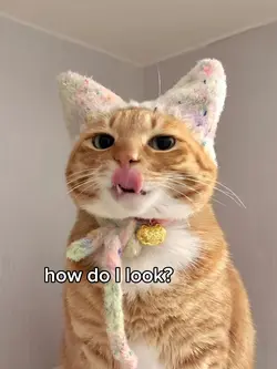 how do I look?