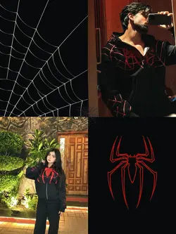 Spidy Collage 