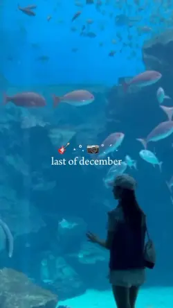 last of december