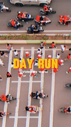 Day run pdip