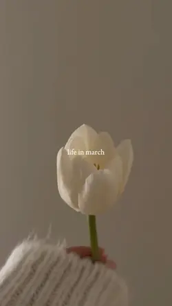 march dump 2025