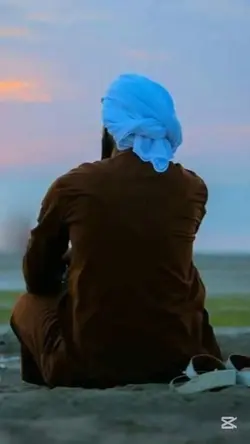 نوي نظم 
