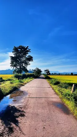 Ngày mới