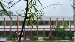 Rain with Nature 